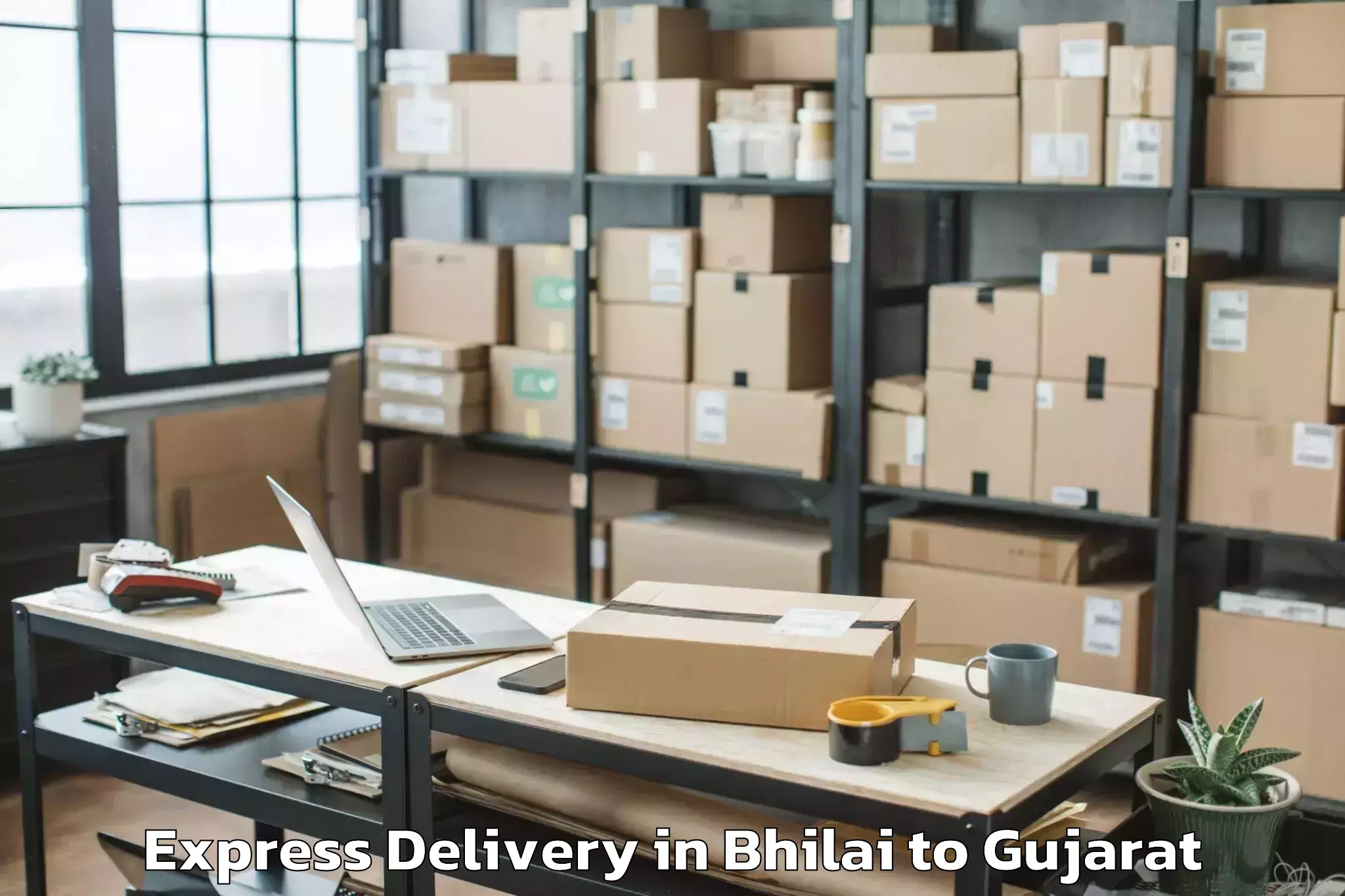 Affordable Bhilai to Jhalod Express Delivery